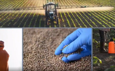 The Future of Food